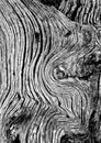 Wood Detail Royalty Free Stock Photo