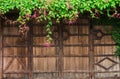 Wood door background and plant flower roof cover Royalty Free Stock Photo