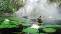 Wood Duck and Mate In Misty Lilly Pond Royalty Free Stock Photo