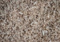 Image of wood dust background Royalty Free Stock Photo