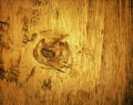 Wood edged texture, with background, abstract backdrop