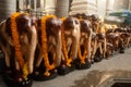 Wood Elephants at Erawan Shrine in Bangkok . Royalty Free Stock Photo