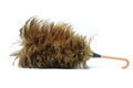 Free Stock Photo 10741 Feather Duster Isolated on White Background