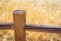 Wood Fence in Gold Royalty Free Stock Photo