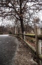 Wood fence