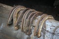 Wood fence rail holding ten lucky antique horse shoes.