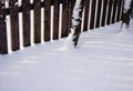 wood fence tree sunlight shadow snow cold day winter nature close-up Royalty Free Stock Photo