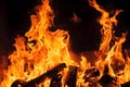 Wood fire on black background Royalty Free Stock Photo