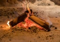 Wood firewood ablaze in rural cabin Royalty Free Stock Photo