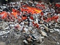 Wood fire in the garden - fireplace - camp fire Royalty Free Stock Photo