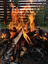 Wood fire in the garden - fireplace - camp fire Royalty Free Stock Photo