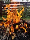 Wood fire in the garden - fireplace - camp fire Royalty Free Stock Photo