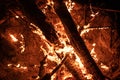 Wood fire wood fire close-up on embers Royalty Free Stock Photo