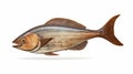 Wood Fish Sculpture Vintage Carved Art On White Background Royalty Free Stock Photo