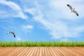 Wood floor and grass under blue sky and birds Royalty Free Stock Photo