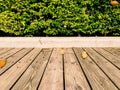 Wood floor and green leave bush (background)