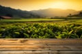 Wood floor meets a stunning, blurred sunset at the tea plantation