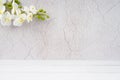 The Wood floor and old cement wall with white orchid decorate, empty room for background Royalty Free Stock Photo