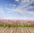 Wood floor under flower field and clouds sky Royalty Free Stock Photo