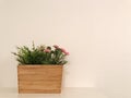 Wood flowerpot on white wall background