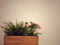 Wood flowerpot on white wall background