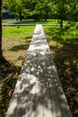 Wood foot path in the summer forest