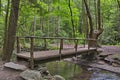 Footbridge across a small stream on a Smoky Mountain Trail Royalty Free Stock Photo