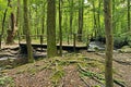 Footbridge across a small stream on a Smoky Mountain Trail Royalty Free Stock Photo