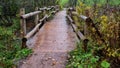 Wood Footbridge in Lush Green Landscaping