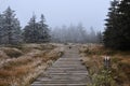 Wood footpath