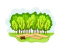 Wood and Forest Area as Natural Resource Vector Illustration
