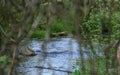 Wood framed green forest river view