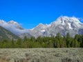 a wood in front of the rocky mountains Royalty Free Stock Photo