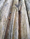 Wood furniture closeup details