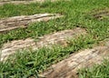 Wood garden path on grass lawn Royalty Free Stock Photo