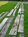 Designer wood garden pavement on grass lawn Royalty Free Stock Photo