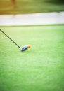 Wood golf club head is about to hit a golf ball on the green grass. Royalty Free Stock Photo