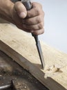 Wood gouge