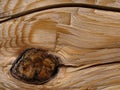 Wood grain background Royalty Free Stock Photo