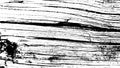 Wood Grain. Black White Texture. Wood Background with Cracks. Grungy overlay Royalty Free Stock Photo