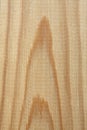 Wood grain close up texture Royalty Free Stock Photo