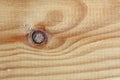 Wood grain close up texture Royalty Free Stock Photo