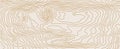 Wood grain seamless texture. Dense lines. Abstract white background with golden stripes. Vector Royalty Free Stock Photo