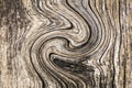 Wood grain spiral swirl wooden pattern vector Royalty Free Stock Photo