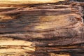 Wood grain surface Royalty Free Stock Photo