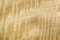 Wood grain texture, exotic veneer background