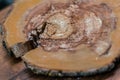 Wood grain texture of old tree stump with cracks in brown tone for background Royalty Free Stock Photo