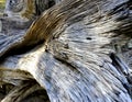 Wood Grain Royalty Free Stock Photo