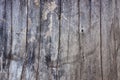 Wood gray texture