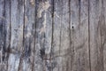 Wood gray texture Royalty Free Stock Photo